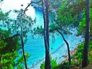 Kargili Dere koyu.jpg_640x480